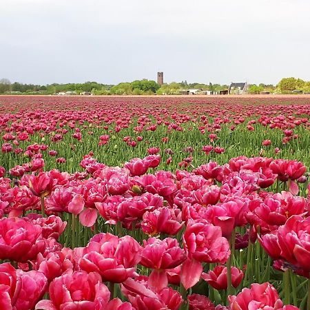 Bed En Breakfast En Bike Sommelsdijk エクステリア 写真