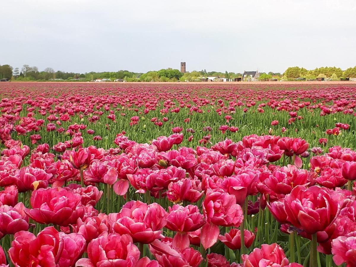 Bed En Breakfast En Bike Sommelsdijk エクステリア 写真