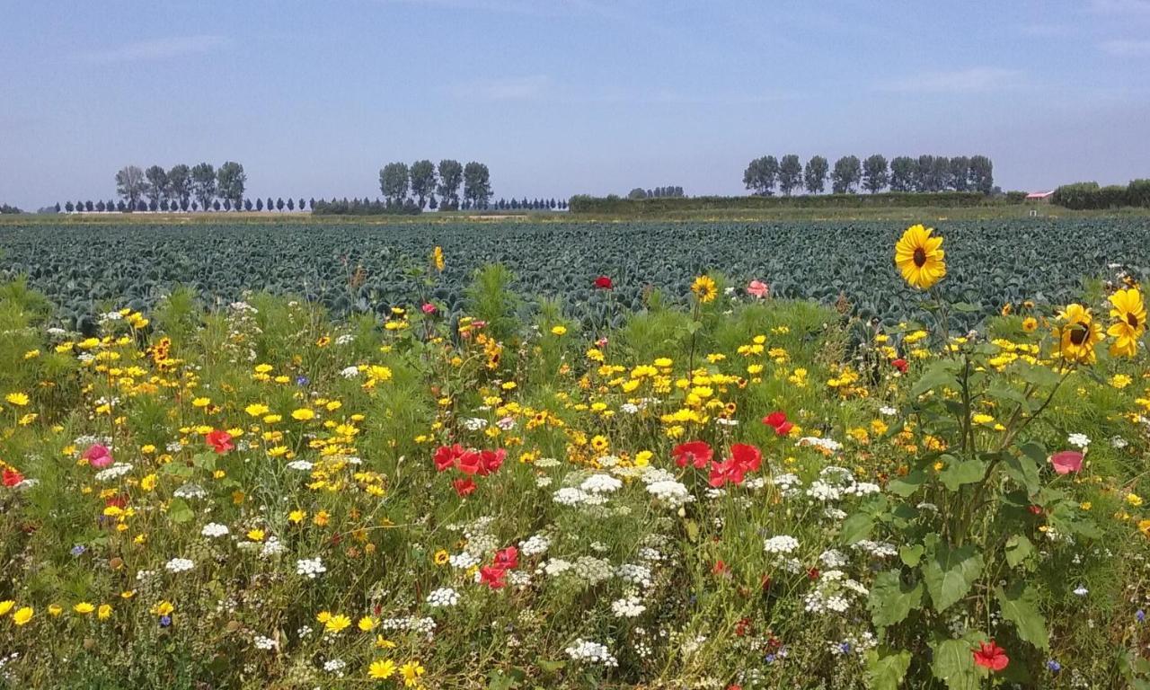 Bed En Breakfast En Bike Sommelsdijk エクステリア 写真